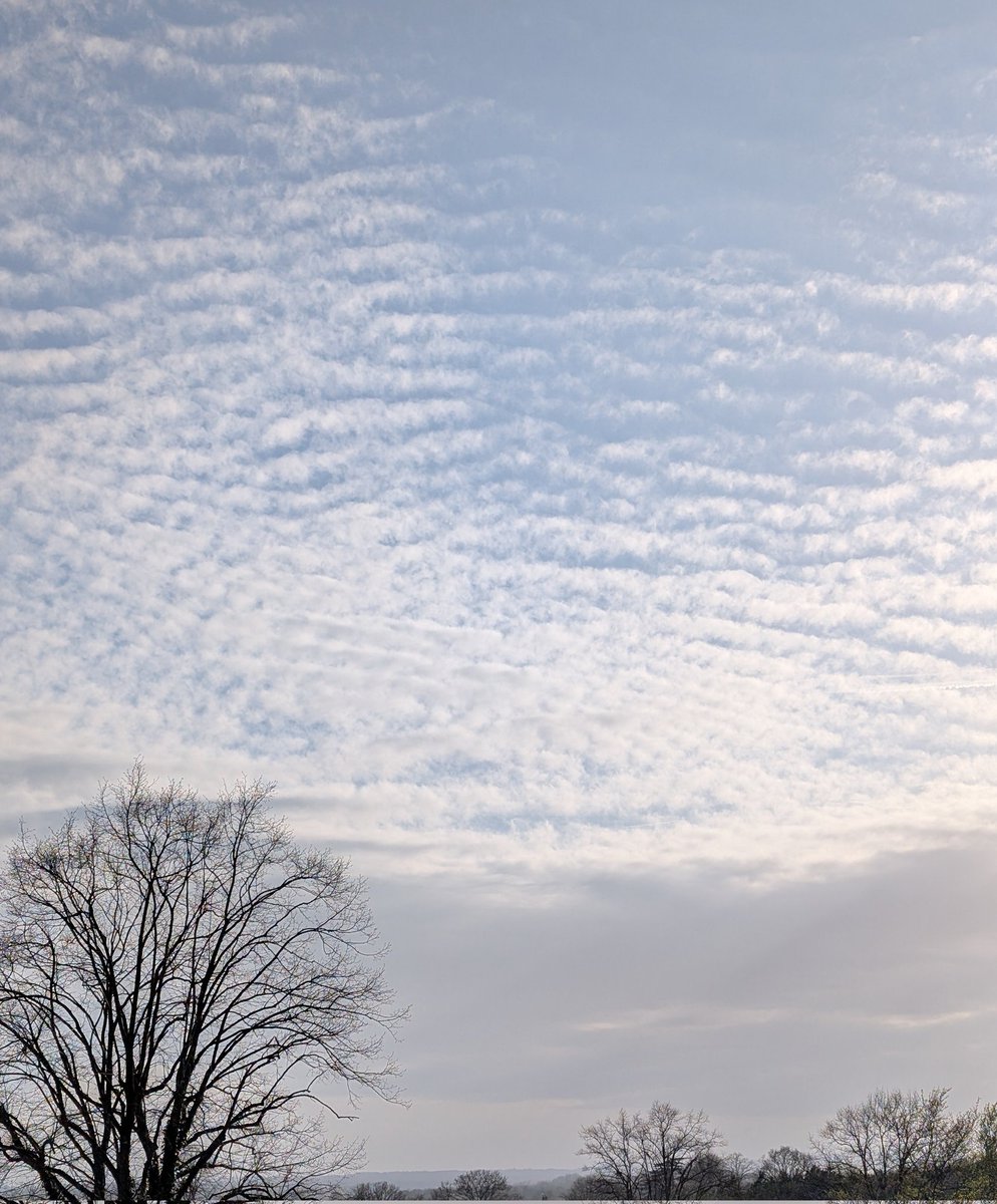 Lin Cork 🏴󠁧󠁢󠁥󠁮󠁧󠁿 tweet media