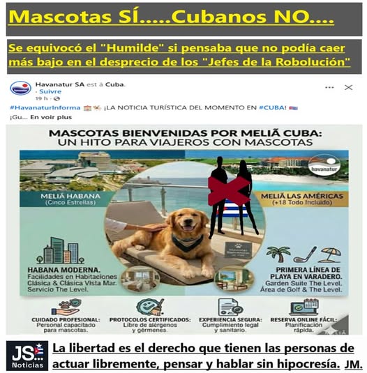 Joankelin Sánchez. tweet media