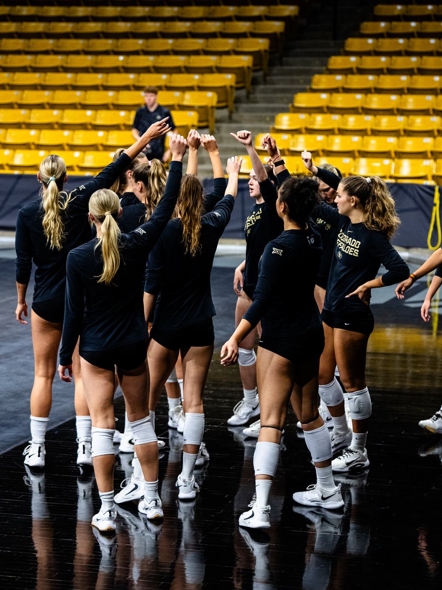 Colorado Buffaloes Volleyball tweet media