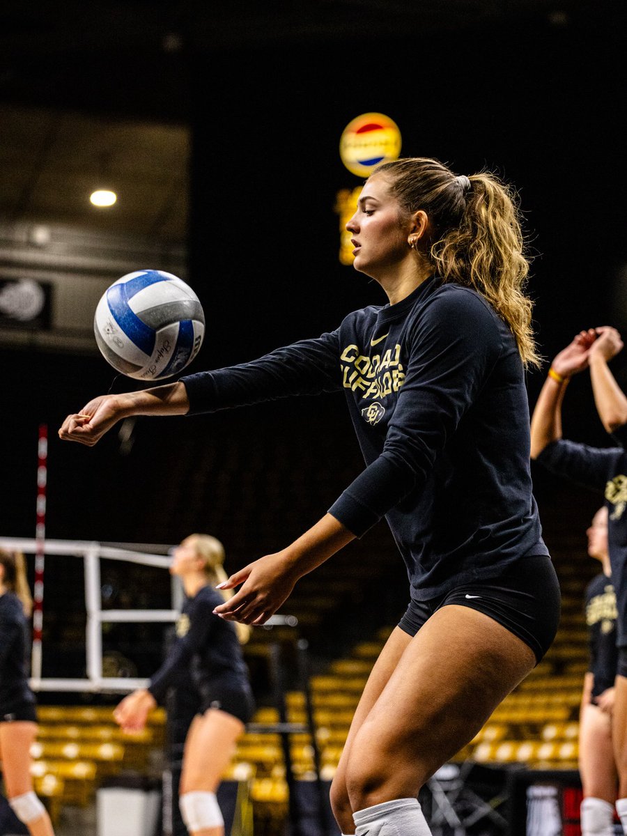Colorado Buffaloes Volleyball tweet media