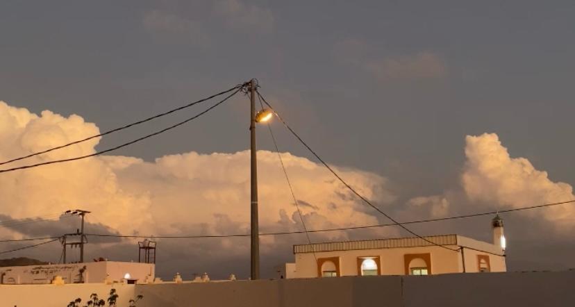 هدّب . tweet media