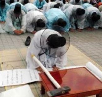 고등어햄 tweet media