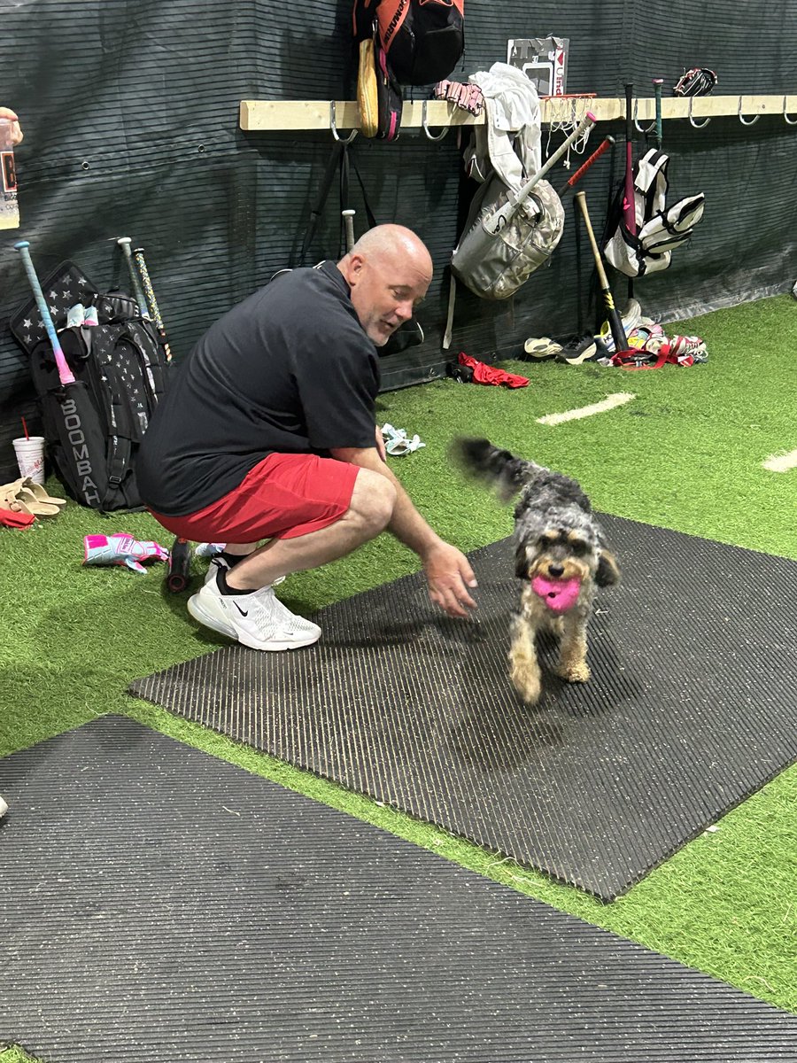 Southport Cardinal Softball tweet media