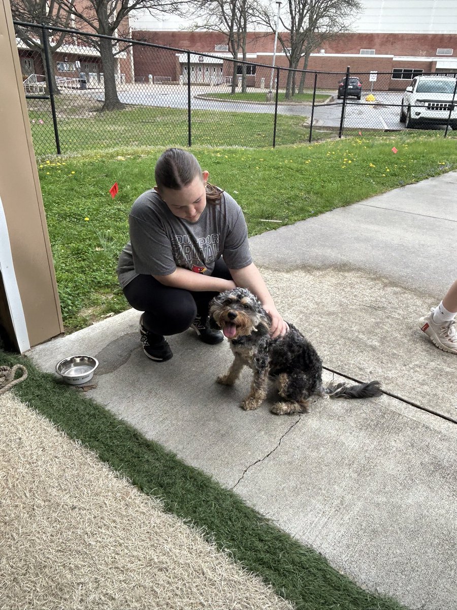 Southport Cardinal Softball tweet media