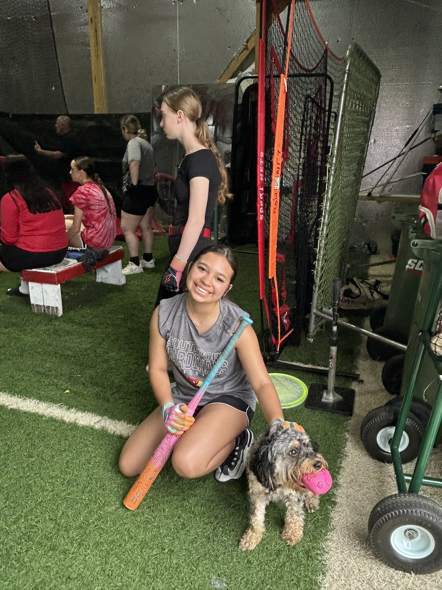 Southport Cardinal Softball tweet media