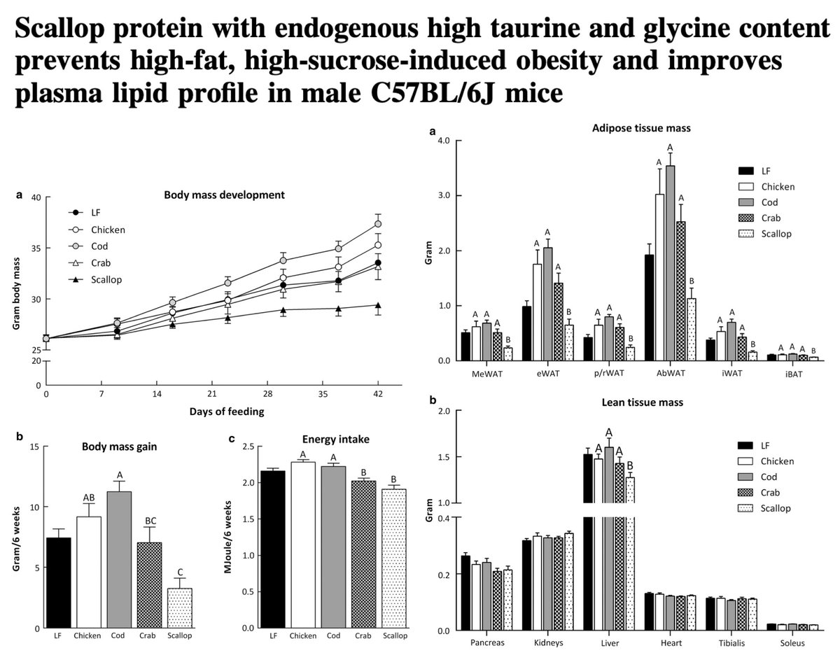 lowmegatron's tweet photo. Sea scallop prevents obesity in mice fed a high-fat + high-sugar diet.

The animals were fed diets with different proteins: chicken, cod, crab, or scallop, for 6 weeks‹ those are listed from lowest to highest taurine content. Here's what happened:

"Only scallop-fed mice gained less body and fat mass."
"Liver mass was reduced in scallop-fed mice."

"Overnight fasted plasma triacyglyceride, free fatty acids, glycerol and hydroxy-butyrate levels were significantly reduced, indicating reduced lipid mobilization in scallop-fed mice."

That finding is huge: Free fatty acids interfere with glucose in multiple ways, partly via the Randle cycle. They are a driver of most metabolic issues. The anti-stress effect of taurine no doubt helps reduce them.

"Dietary intake of taurine and glycine correlated negatively with body mass gain and total fat mass, while intake of all other amino acids correlated positively."

"dietary scallop protein completely prevents high-fat, high-sucrose-induced obesity whilst maintaining lean body mass and improving the plasma lipid profile...”

It’s highly likely that taurine and glycine are doing the heavy lifting. Unfortunately, scallops are very expensive in most places. Gelatin and taurine supplementation are good options.

Ref: Scallop protein with endogenous high taurine and glycine content prevents high-fat, high-sucrose-induced obesity and improves plasma lipid profile in male C57BL/6J mice