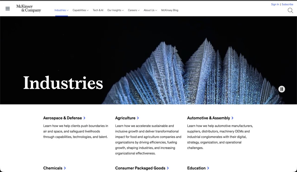 Tiger Wang 🦕 tweet media