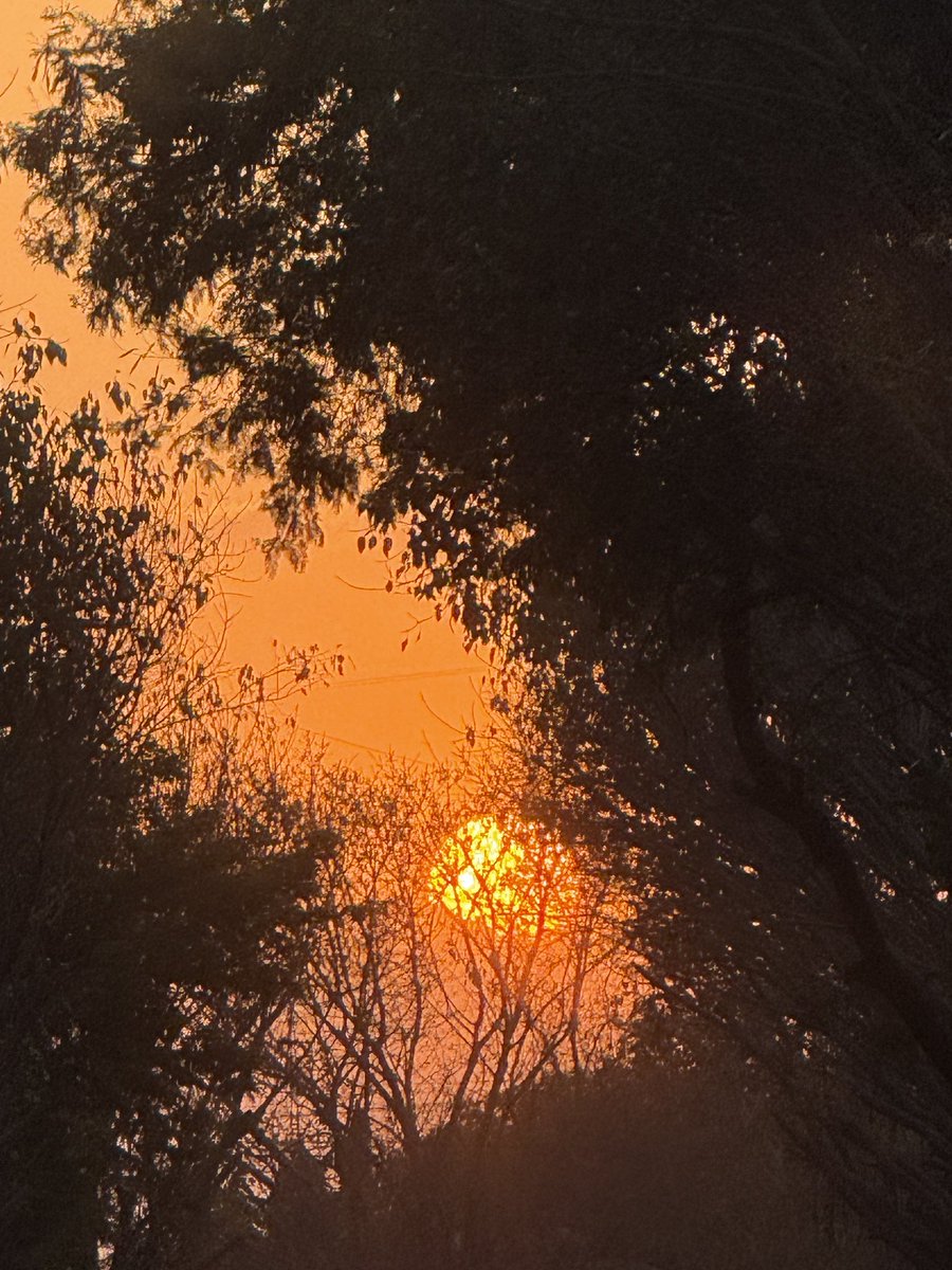 Neeta Sharma tweet media