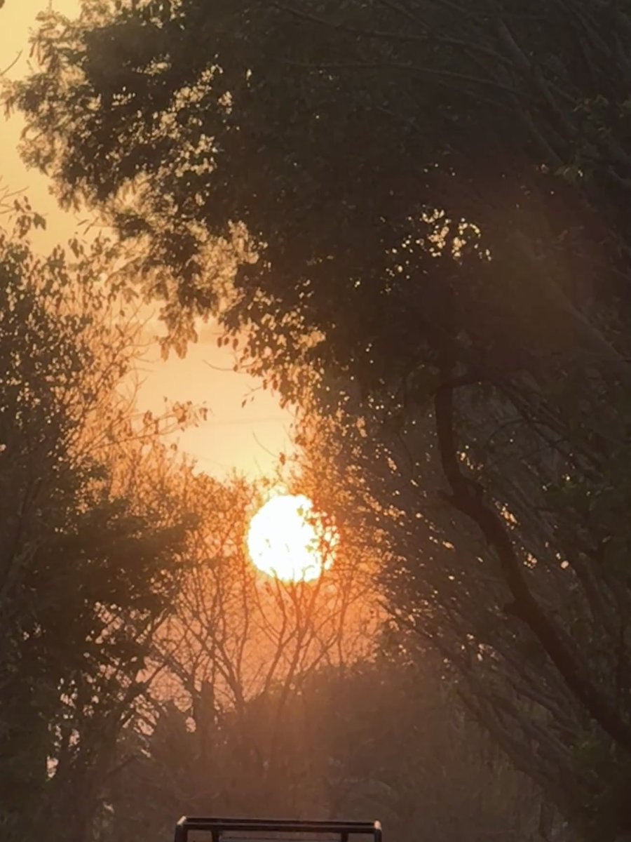 Neeta Sharma tweet media