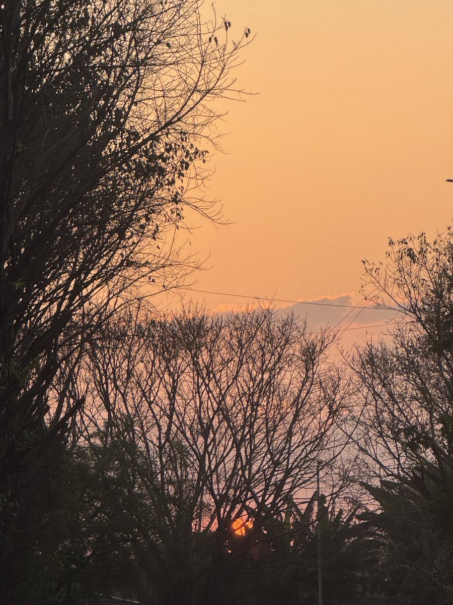 Neeta Sharma tweet media