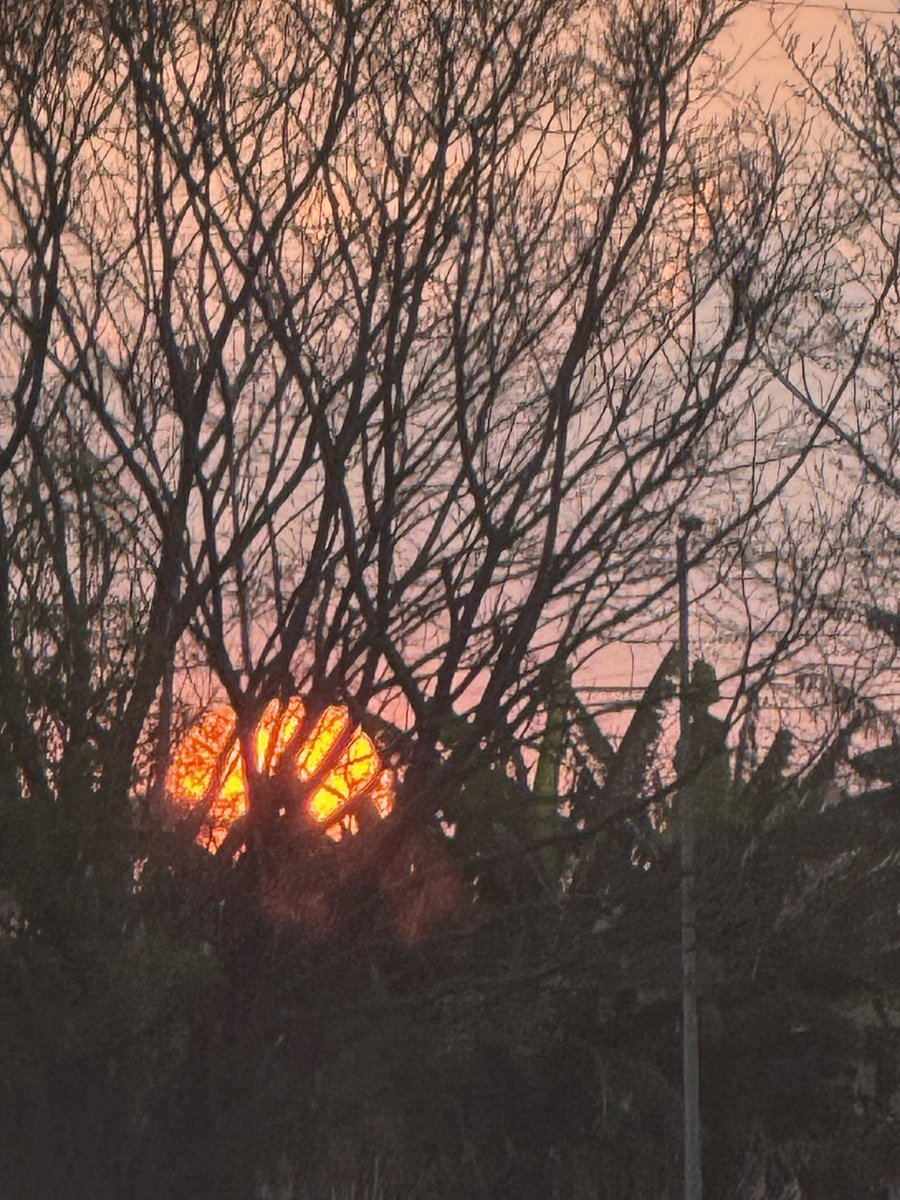 Neeta Sharma tweet media