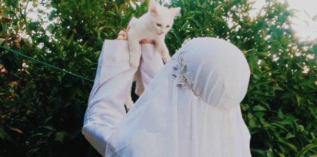 Mishi Ch tweet media