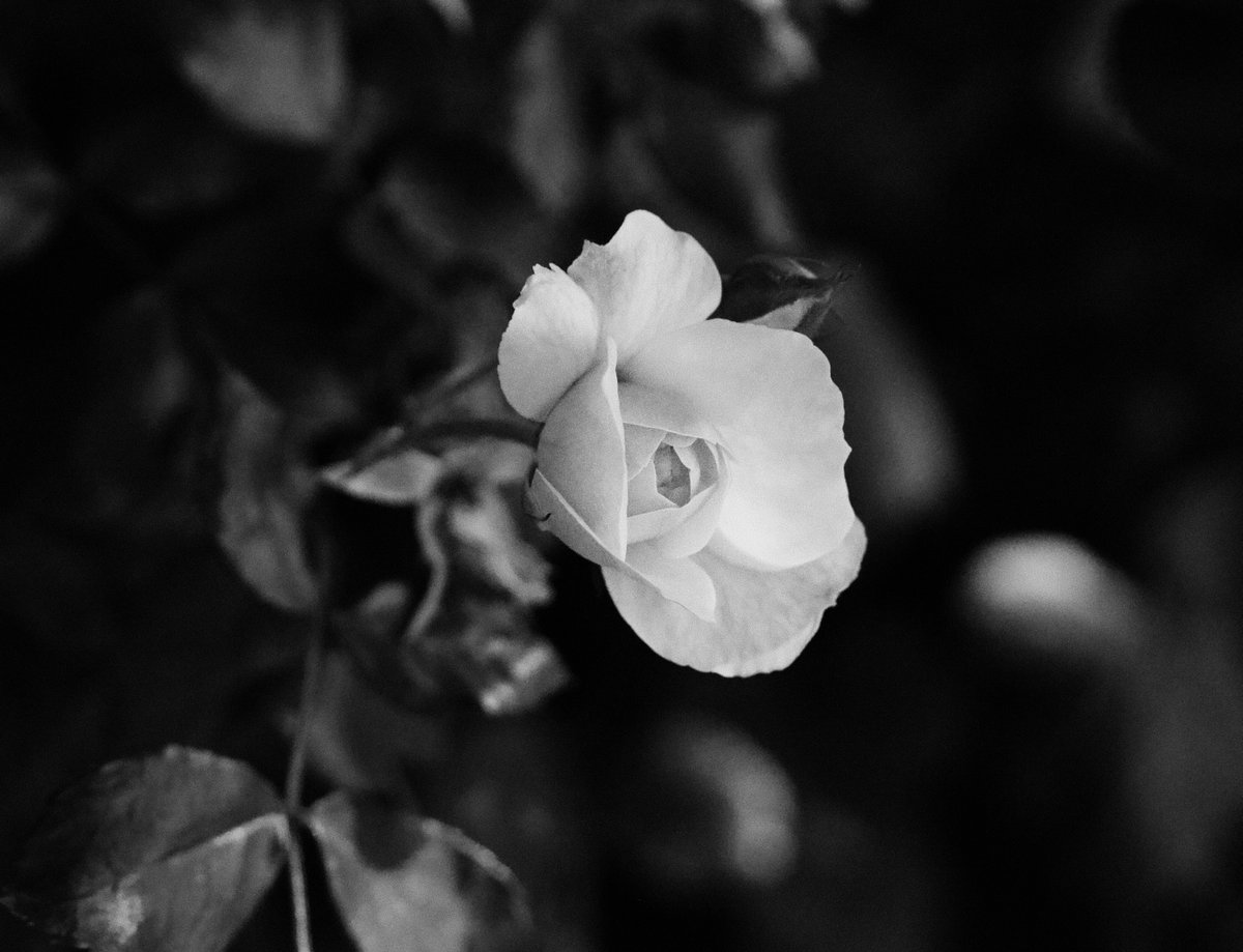 Rich Exposure tweet media