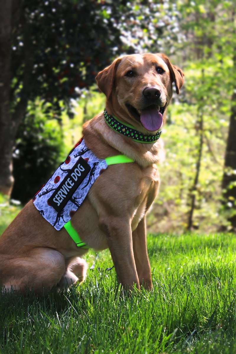 ‍ ‍ ‍ ‍ ‍𝓗͟𝐀͟𝐑͟𝐑𝐈𝐍𝐆𝐓𝐎𝐍 .ᐟ tweet media