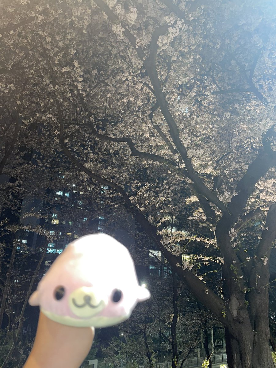 따봉•• tweet media