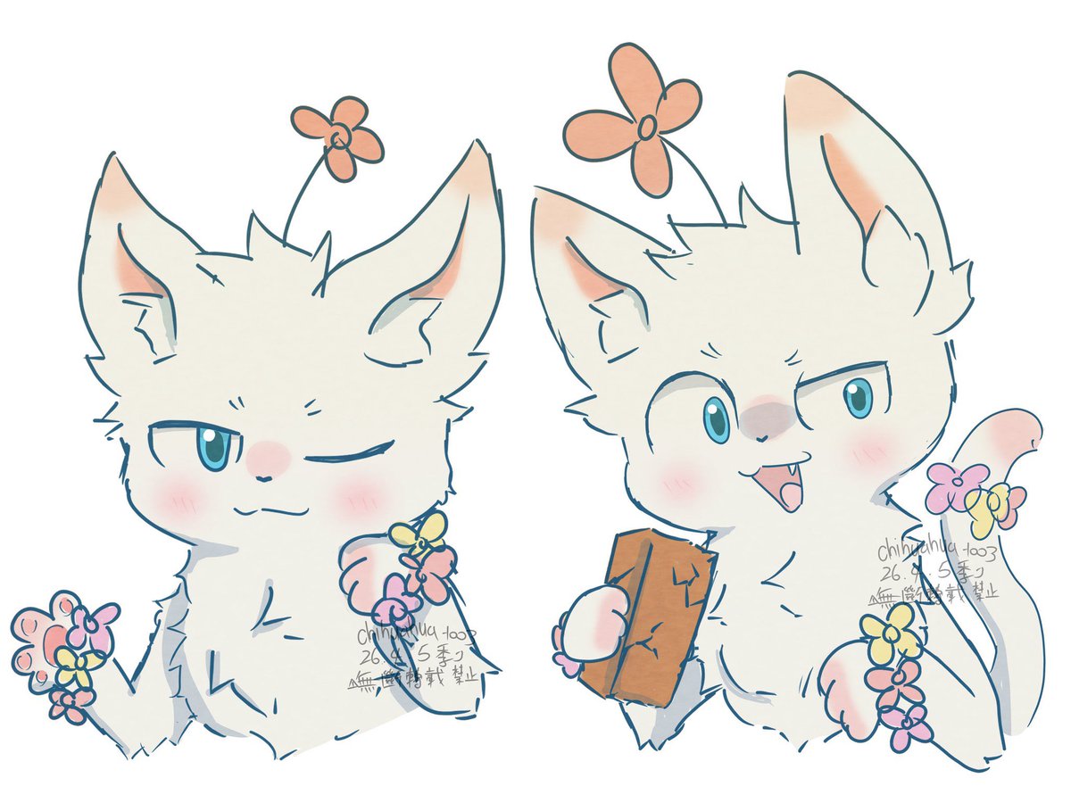 翡翠小季 tweet media