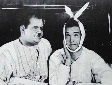 hippiehoe tweet media