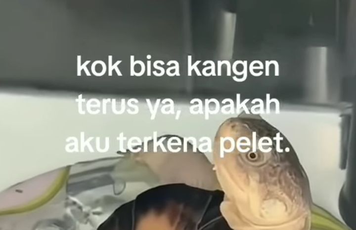 𓄼𝔅𝔢𝔩𝔩𝔞𝔳𝔦𝔢 𓂃⚘༉ (kgnBESAR) tweet media