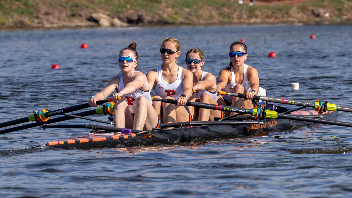 Tiger Light Women tweet media