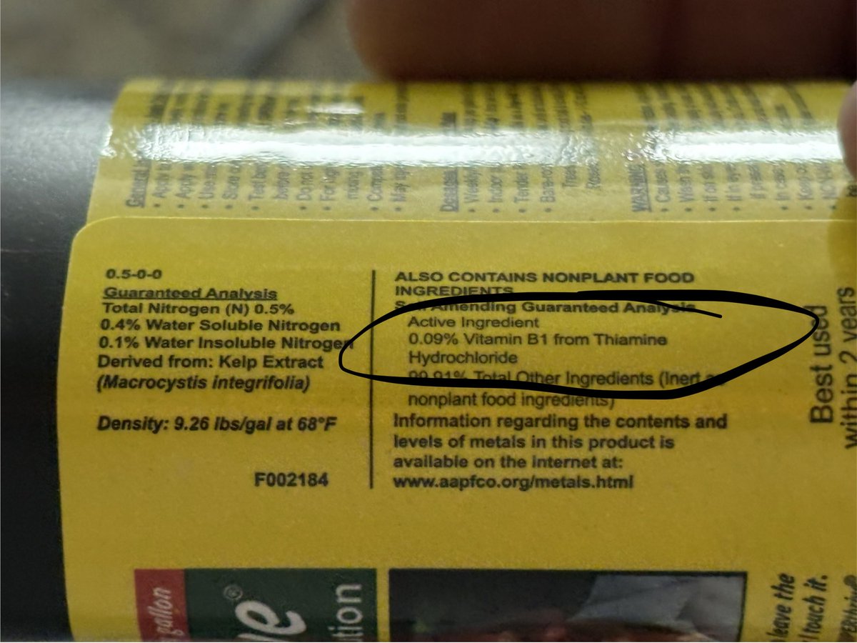 Rosin 🇺🇸 Federalist tweet media