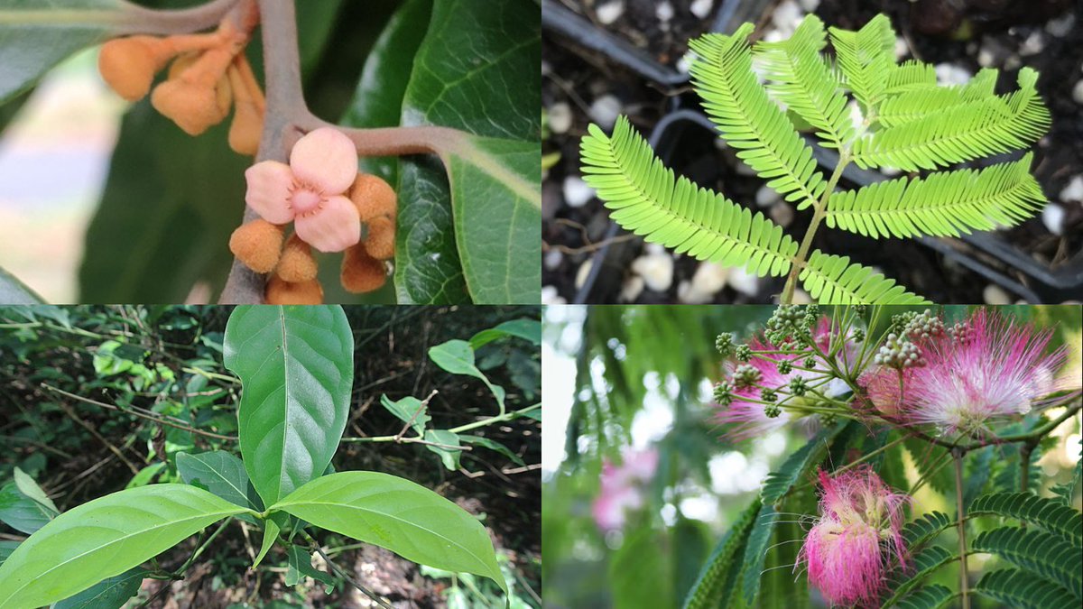 Paul Brown tweet media