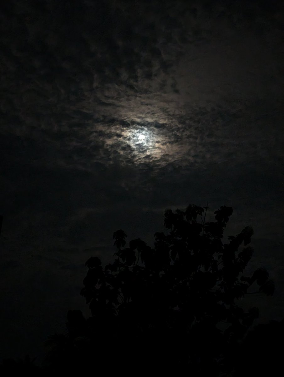 heightsix tweet media