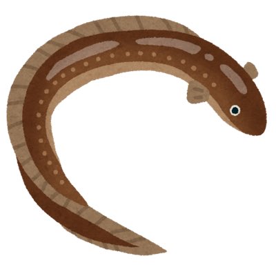 うなぎ tweet media