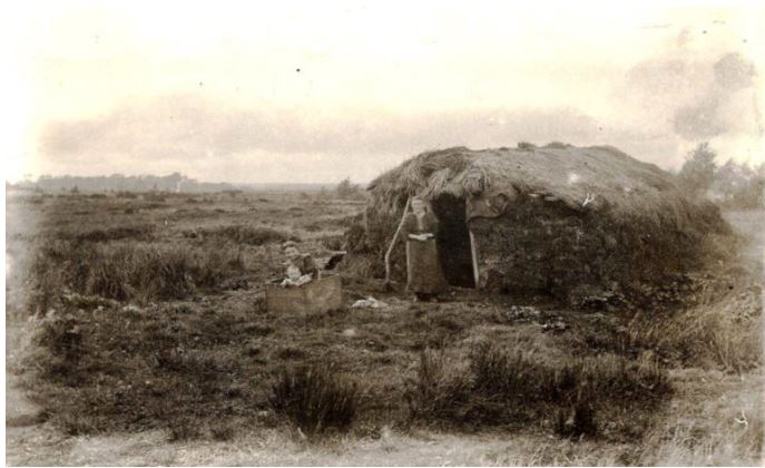 blkmediajoy tweet media