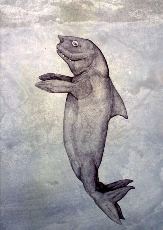 D-boi vids tweet media