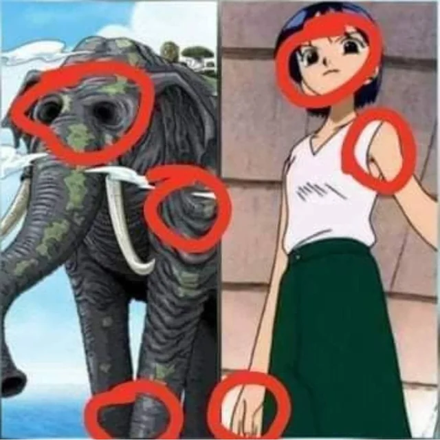 Taito Fofanavic tweet media