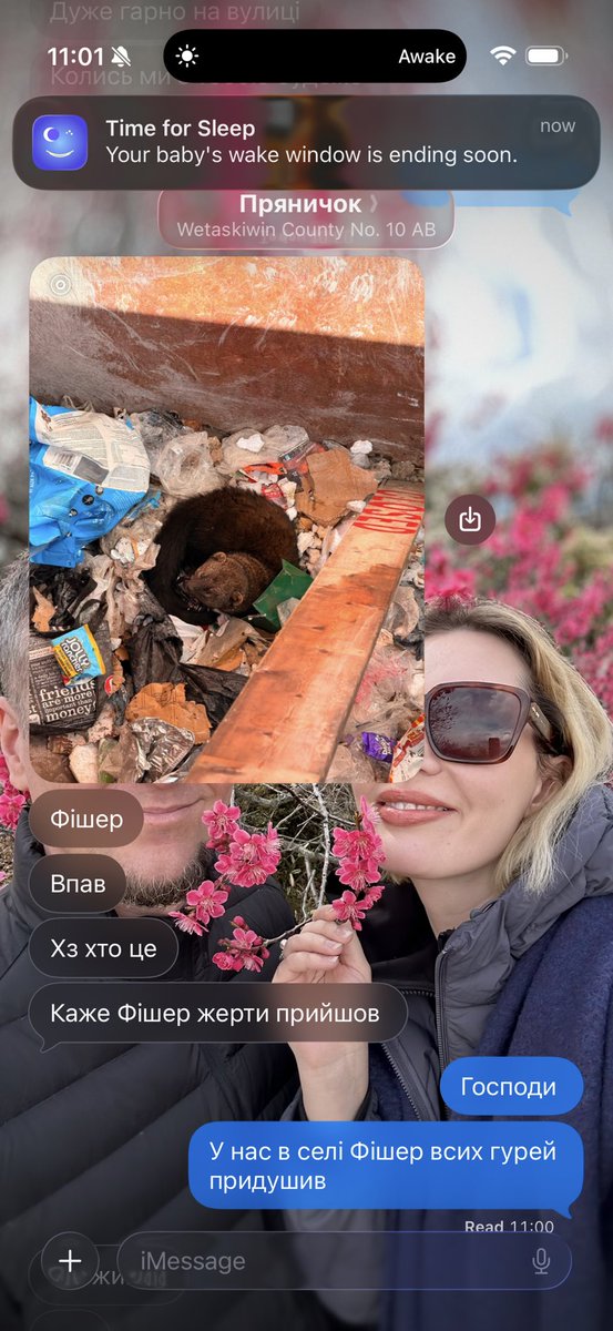 Mommy beautiful like a clown tweet media