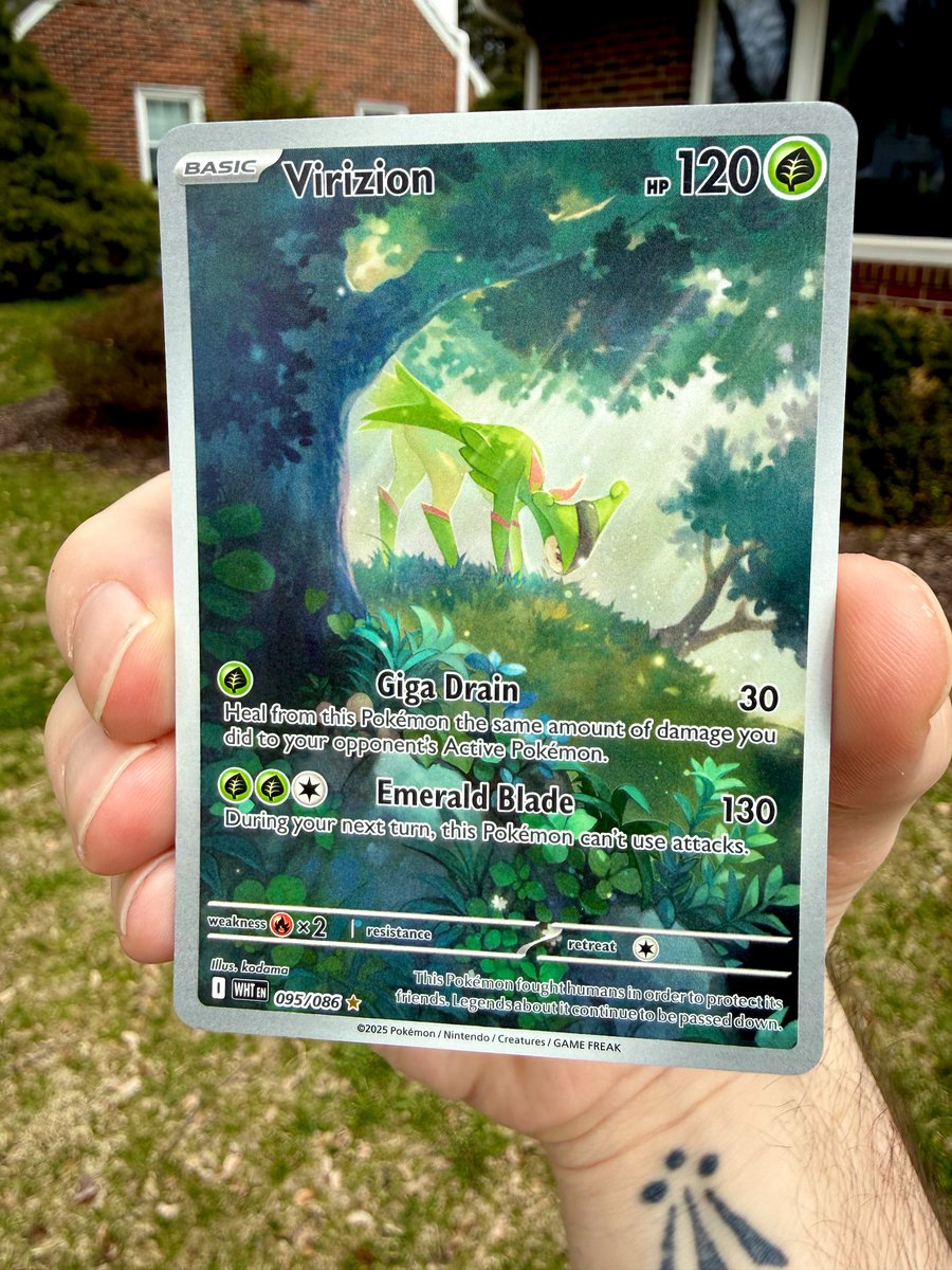 Conor | FBC tweet media