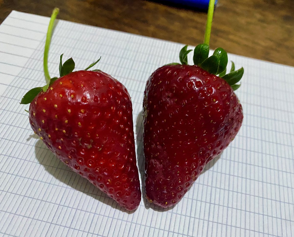 seally ˎˊ˗ tweet media