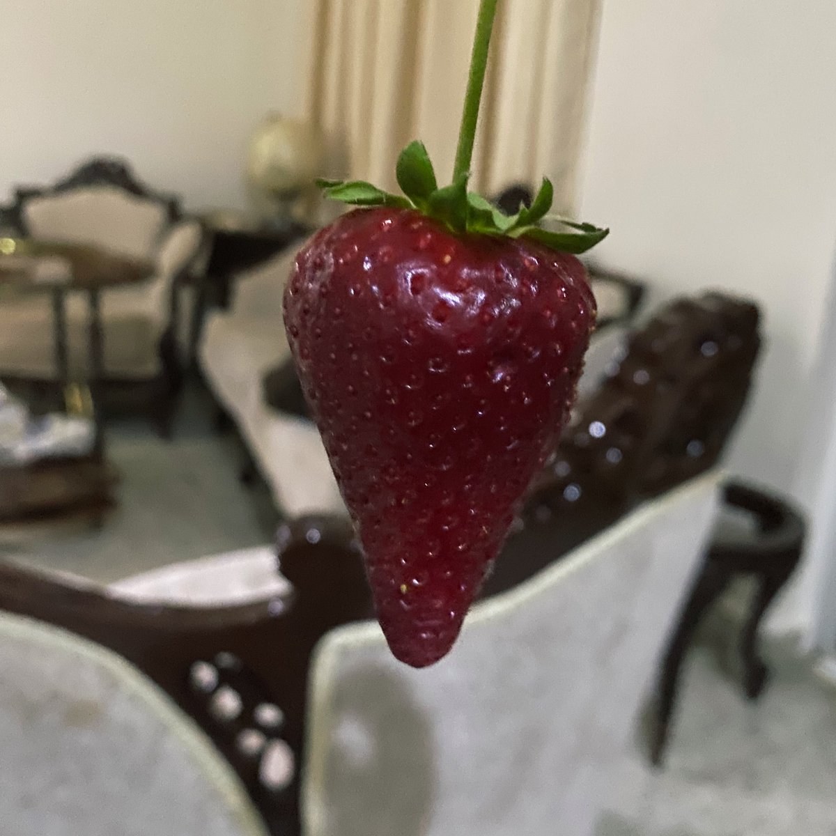 seally ˎˊ˗ tweet media