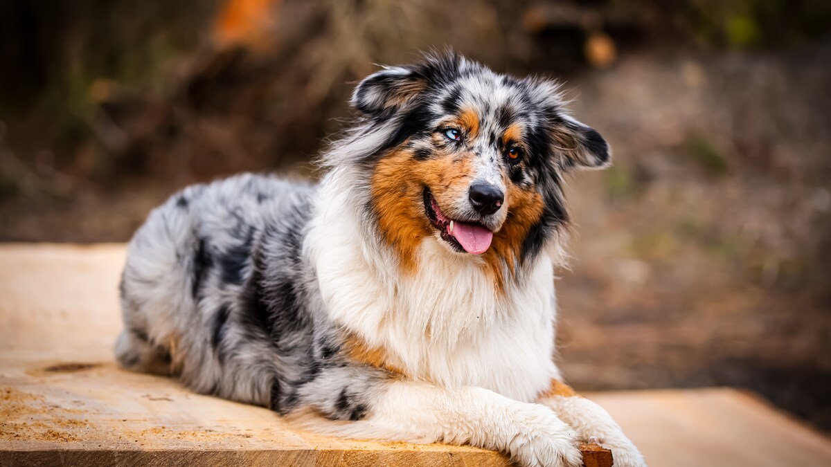 FIT FOR FUN tweet media