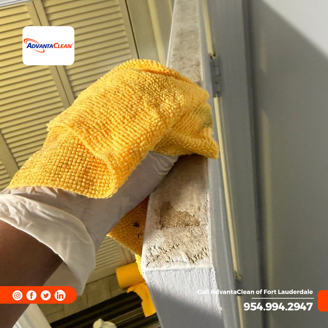 AdvantaClean Of Fort Lauderdale tweet media