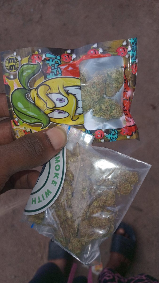 Halan🪖🐦🔥 tweet media