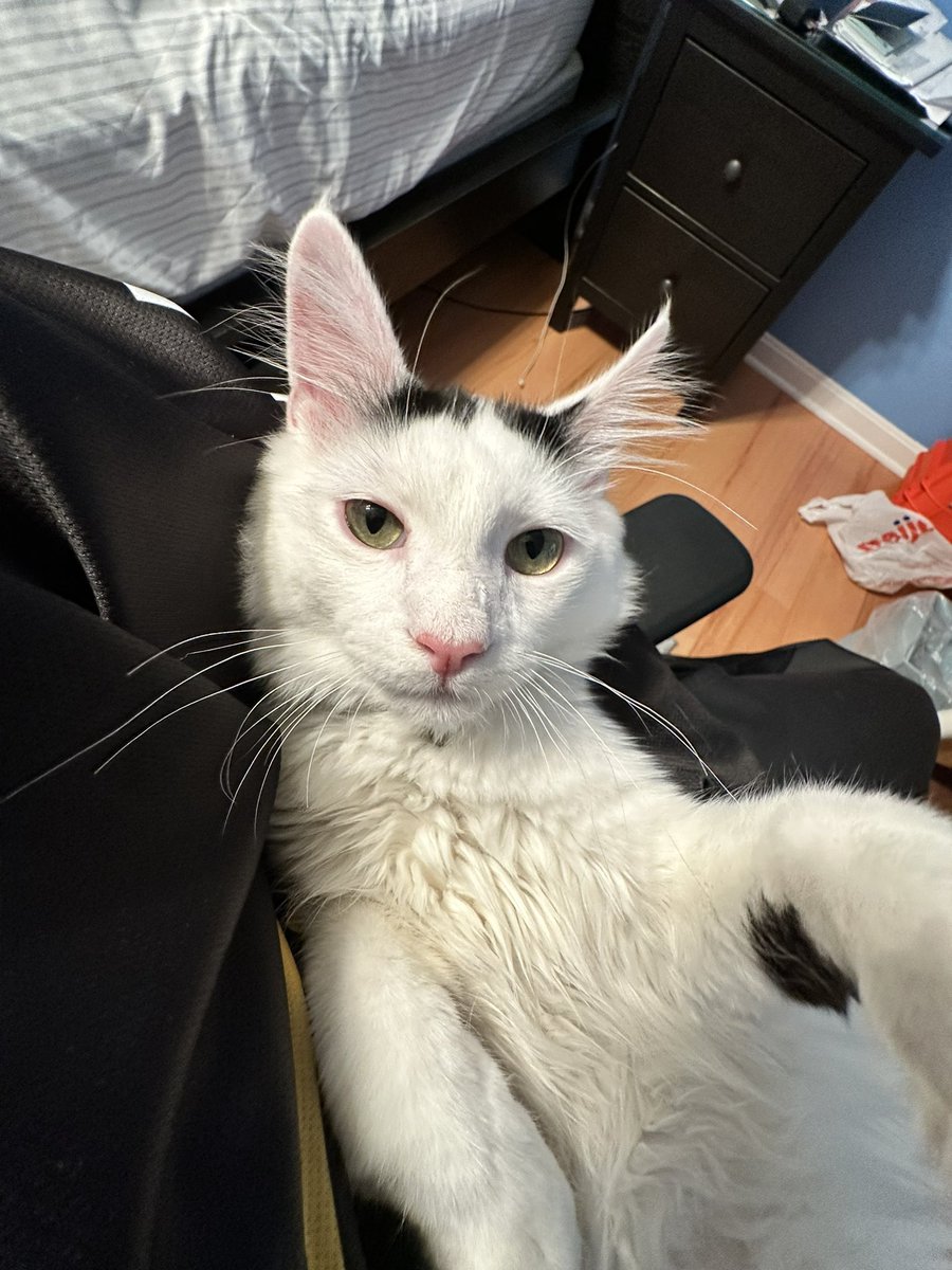 Jaeger🔜 ✈️PW AC tweet media