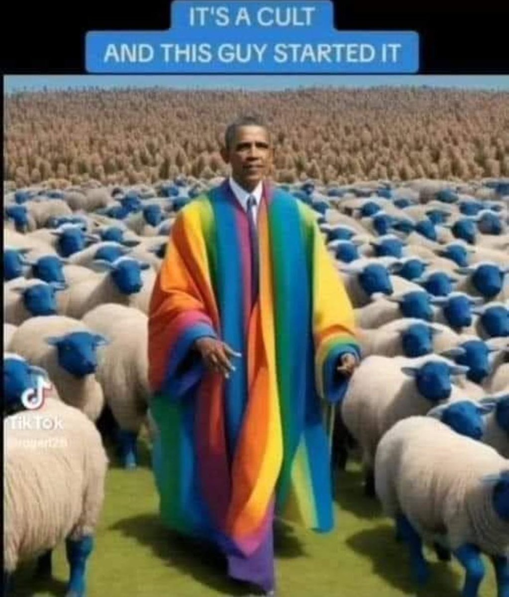 George Setka tweet media