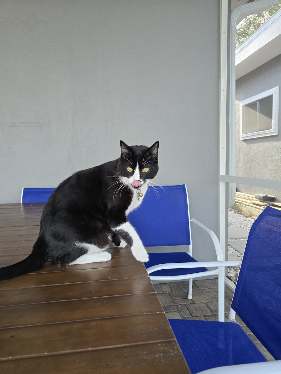 Crash Override tweet media