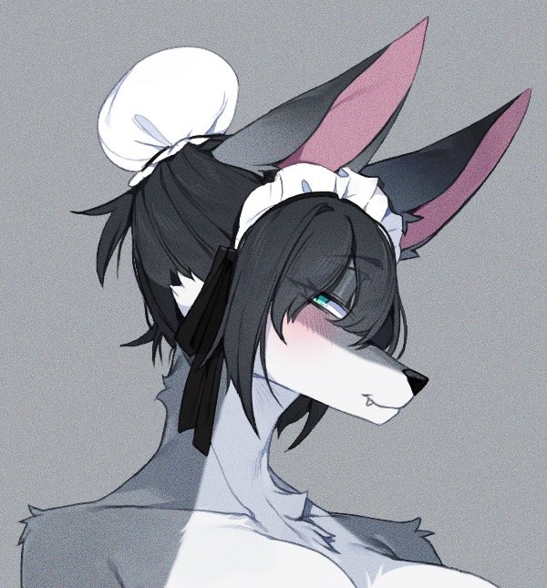 Puni🐾 tweet media