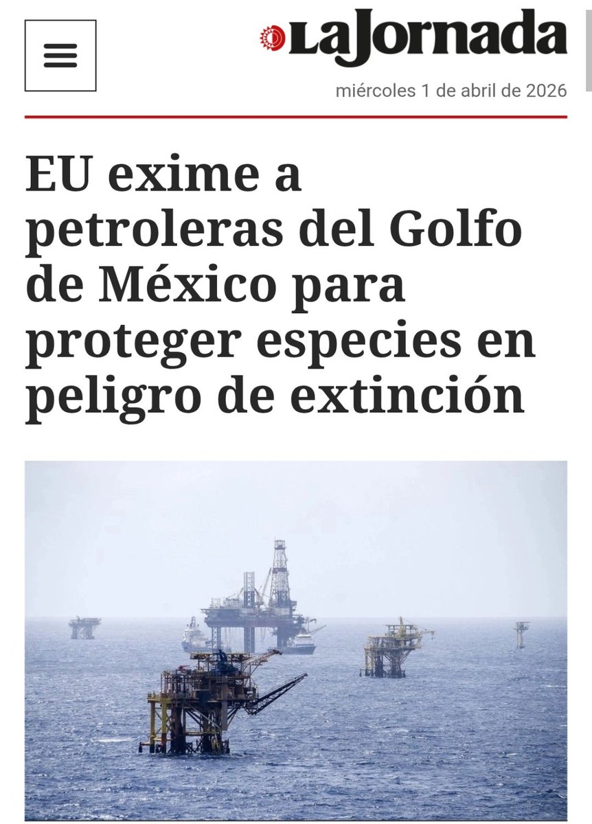 ese mi GALLAGHER tweet media