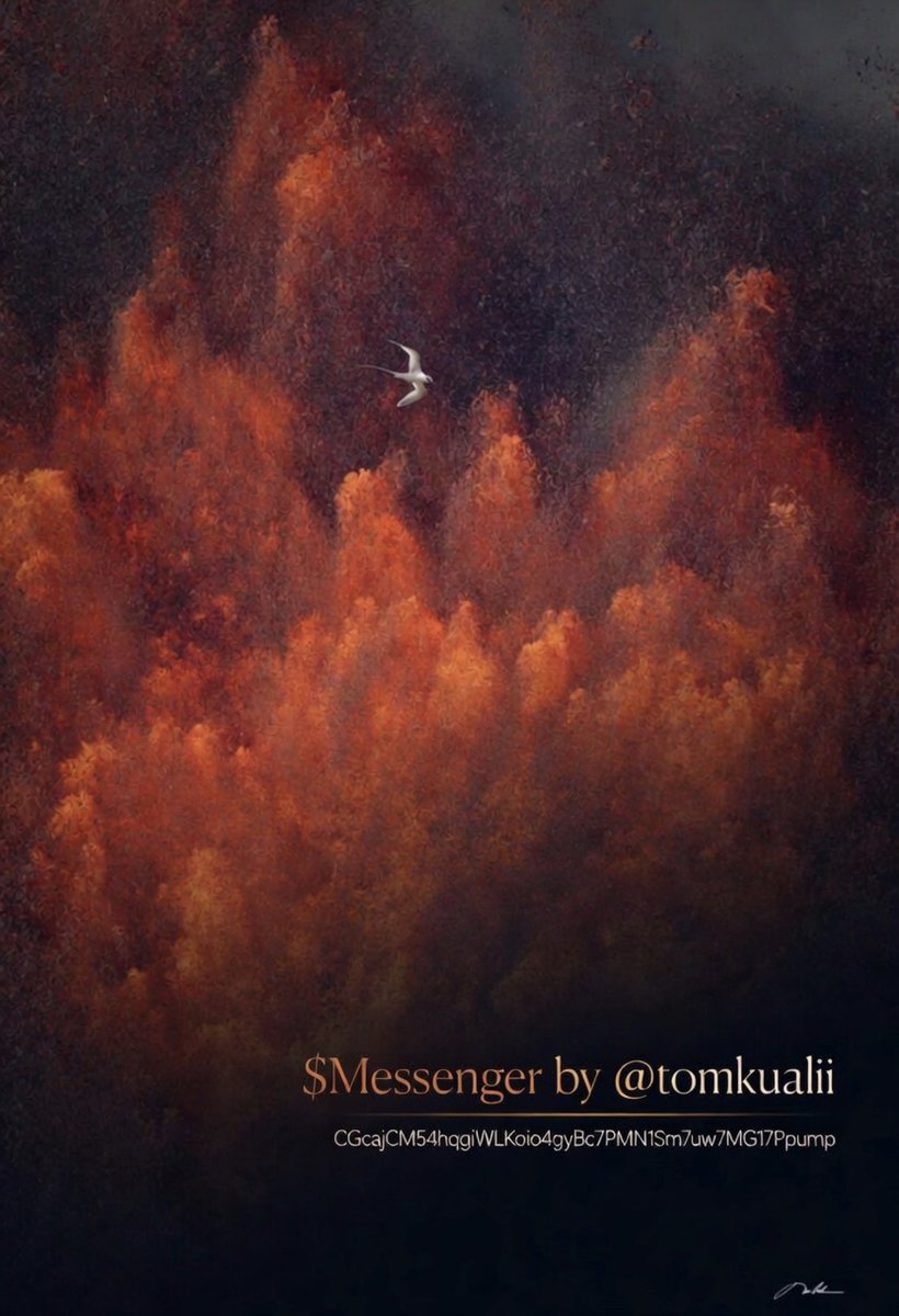 Risk🌋🕊️ tweet media