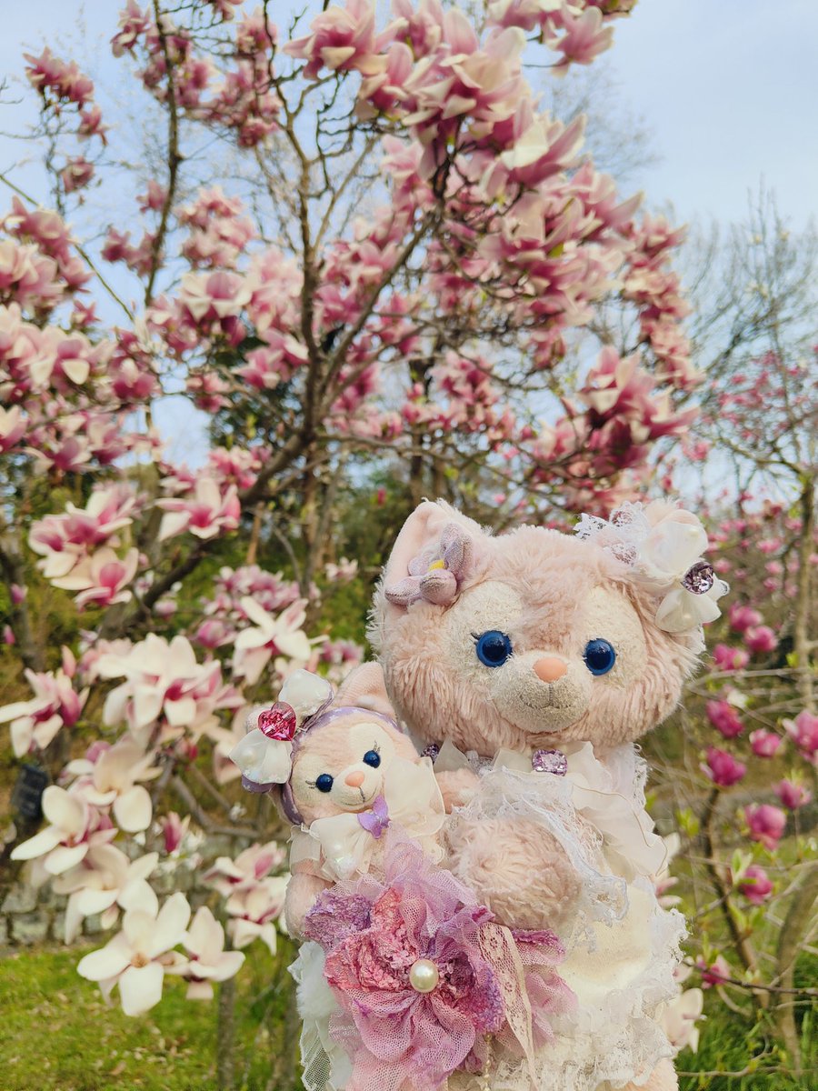 Rose belle🌹👑💞💜🪽💜🌈💜 tweet media