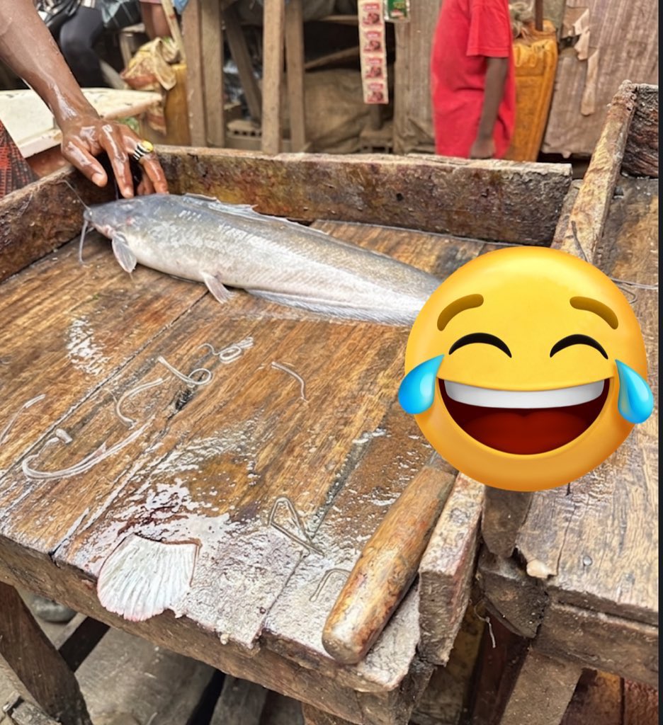 Awelewa 😍🥰❤️ tweet media