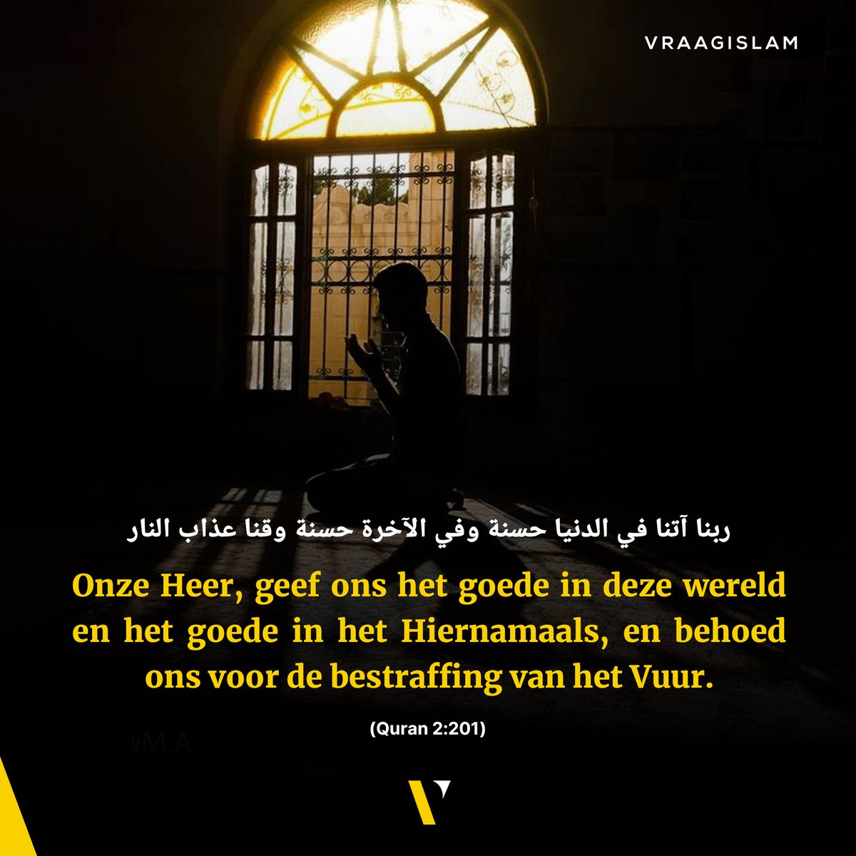 Nederlandse Moslim 🇳🇱 tweet media