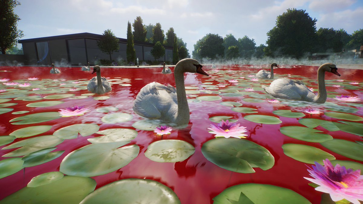 ash 🪿 tweet media