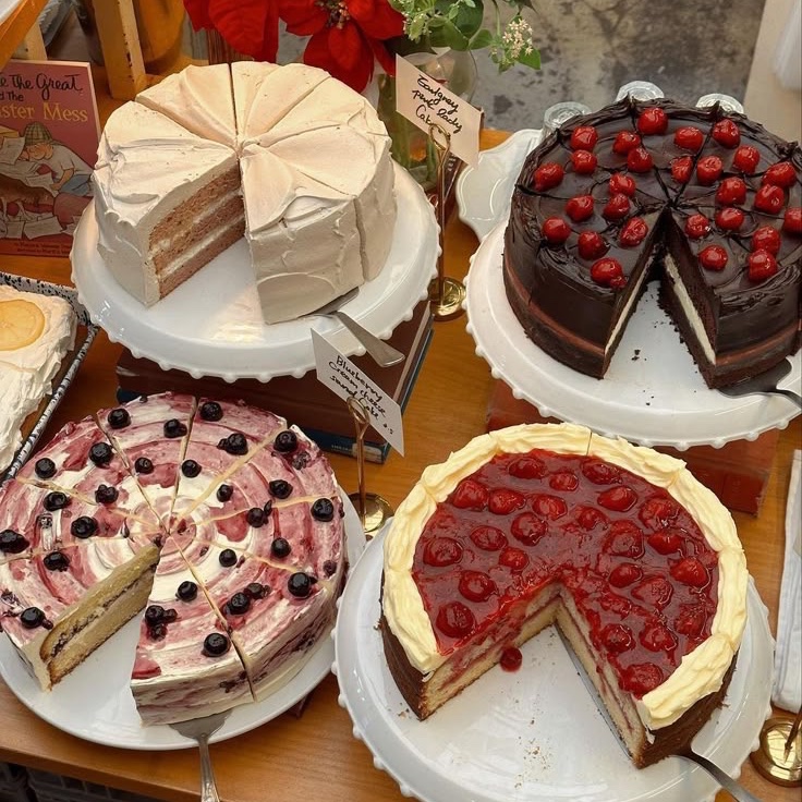 robin 𐙚 tweet media