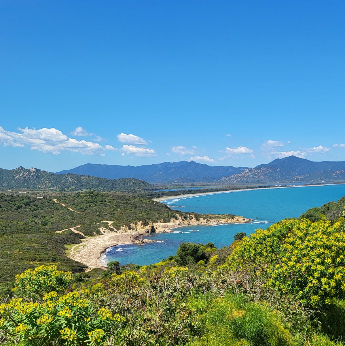 Steffen Noleppa tweet media