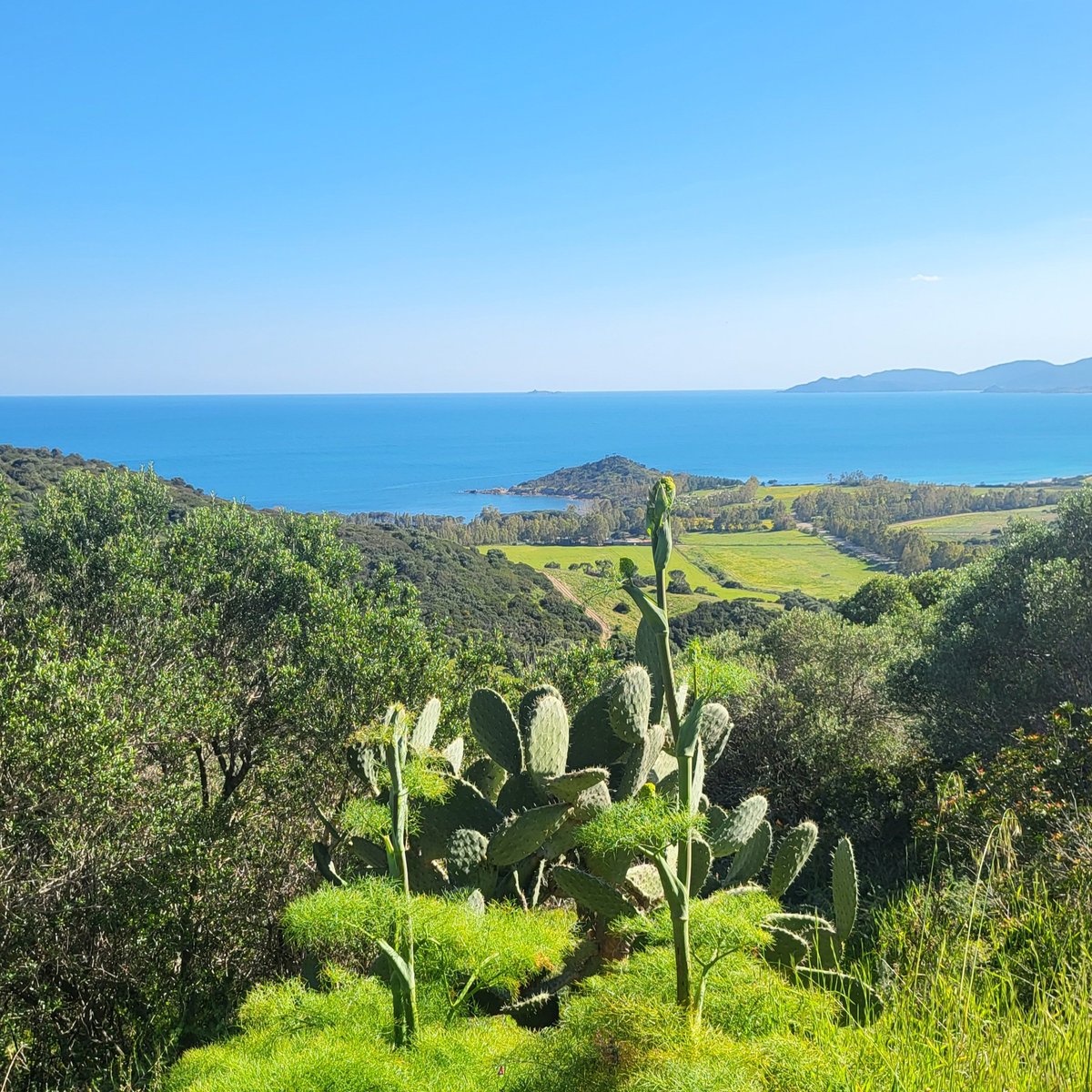 Steffen Noleppa tweet media